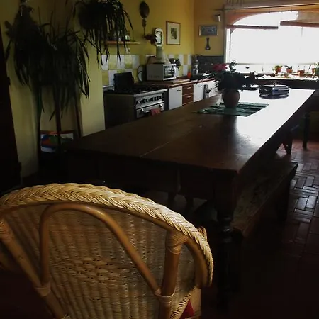 Damammasara Rignano sullʼArno