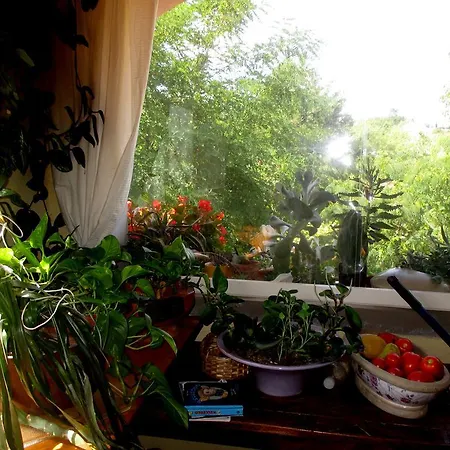 Damammasara * Rignano sullʼArno