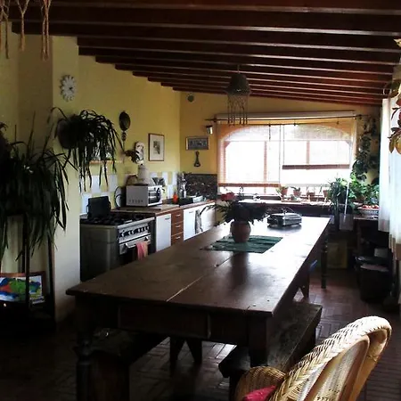 Damammasara Rignano sullʼArno