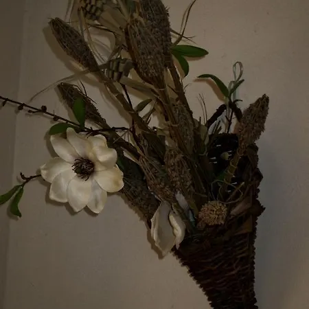 Appartement Damammasara