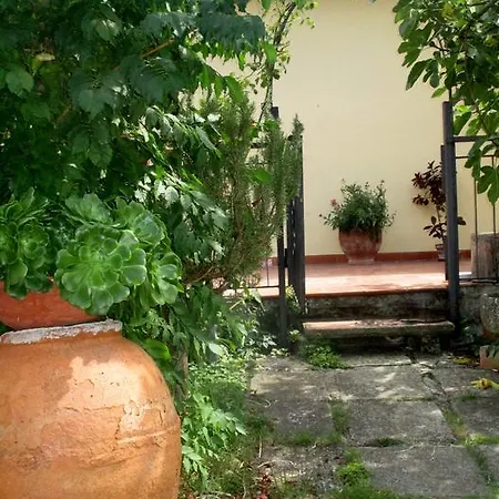 Damammasara Rignano sullʼArno